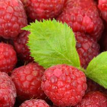 raspberry
